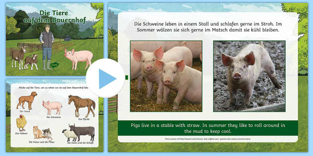 Where Farm Animals Live PowerPoint German (teacher made)