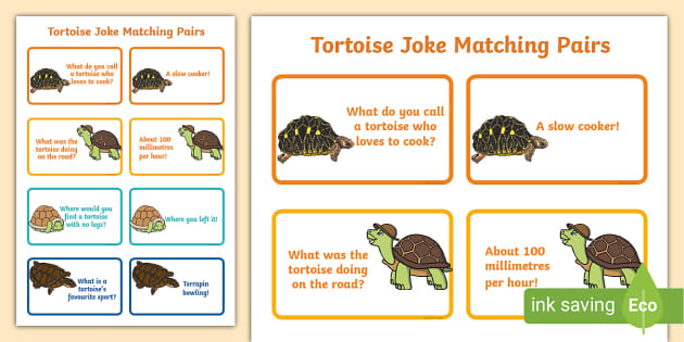 Tortoise Joke Matching Pairs (teacher made) - Twinkl