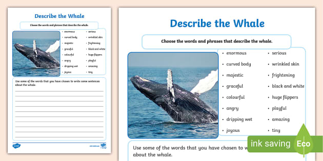 describe-the-whale-writing-activity-teacher-made-twinkl