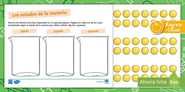 Hoja De Trabajo Los Estados De La Materia Teacher Made 1700