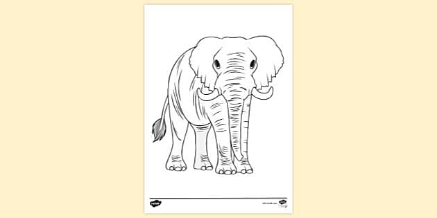 Elephant Colouring Ideas