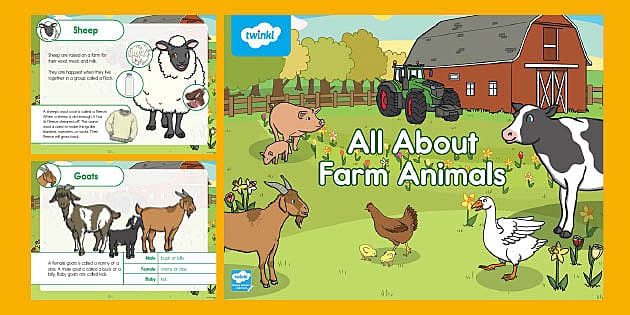 All About Farm Animals PowerPoint | K-2 Science Resources