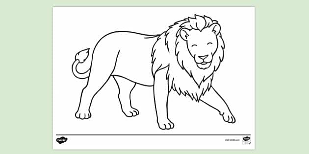 FREE! - Utensils Colouring Page - Primary Resources - Twinkl