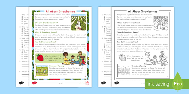 first grade reading comprehension pdf worksheets twinkl