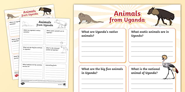 Animals From Uganda Fact File Template teacher Made 