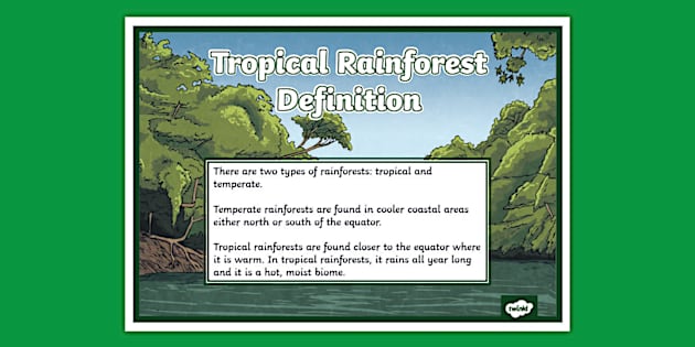 Tropical Rainforest Definition Display Poster (teacher made)