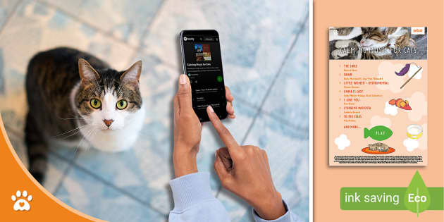 Free Calming Cat Music Calming Music for Cats Playlist