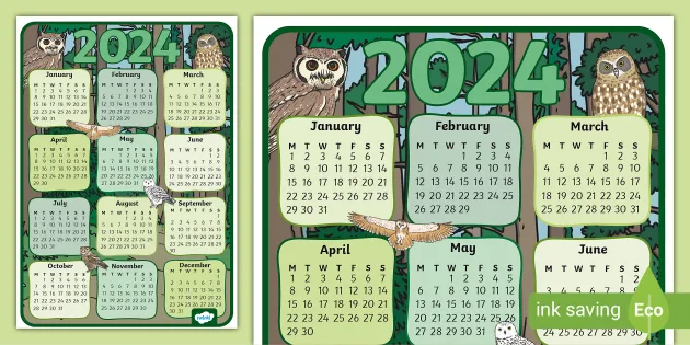 Owl-Themed 2024 Wall Calendar Poster (teacher made) - Twinkl