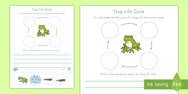 frog-life-cycle-writing-worksheet-worksheet-teacher-made