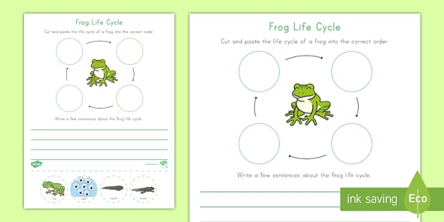 Life Cycle of a Frog Worksheet for Kids in K-2 Science