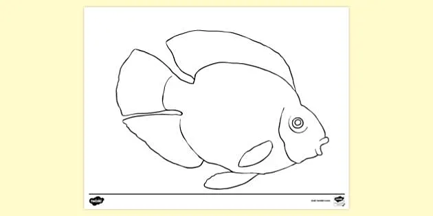 Free Realistic Fish Colouring Page Colouring Sheets