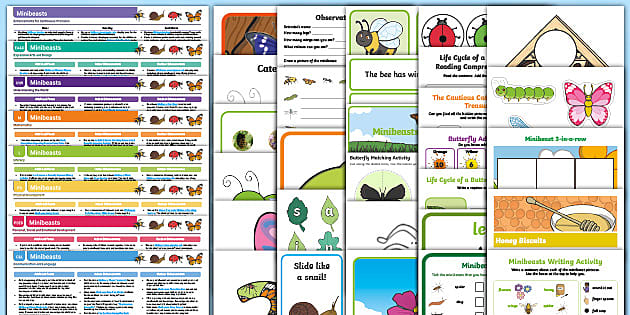 EYFS Minibeasts Activity Planning and Continuous Provision