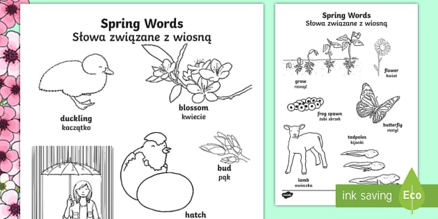 springtime words coloring pages english/polish  spring
