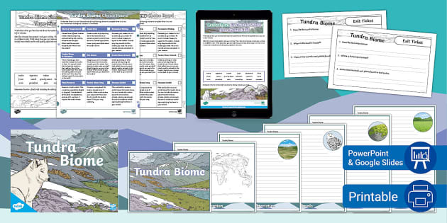 Tundra Biome Lesson Pack (teacher made) - Twinkl