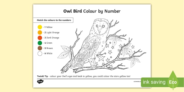 Free Owl Bird Colour By Number Teacher Made Twinkl