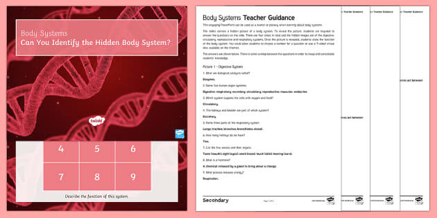 Body Systems Quick Quizzes (Teacher-Made) - Twinkl