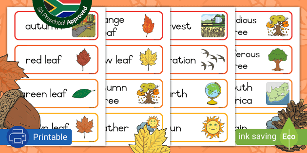 Autumn Flashcards  Twinkl Teacher-Made Learning Resources