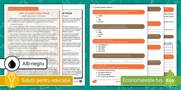 Clasa a IV-a: Pregătire pentru Evaluarea Națională LLR – Fișă de exersare pentru luna noiembrie