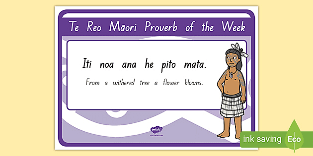 NZ Matariki Whakataukī Proverbs Flashcards (Teacher-Made), 54% OFF