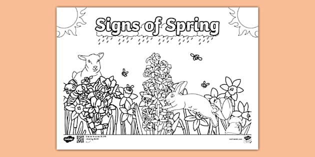 Signs of Spring Doodle Colouring Sheet (teacher made)