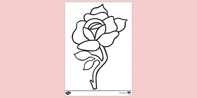 Easy Rose Colouring Page | Colouring Sheets (teacher made)