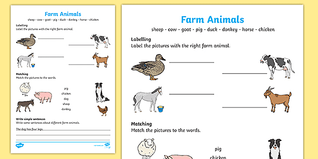 Farm Animals Worksheet For Kindergarten | Printable Resource