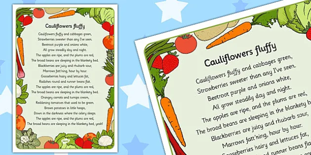 Cauliflowers Fluffy Lyrics Worksheet Teacher Made