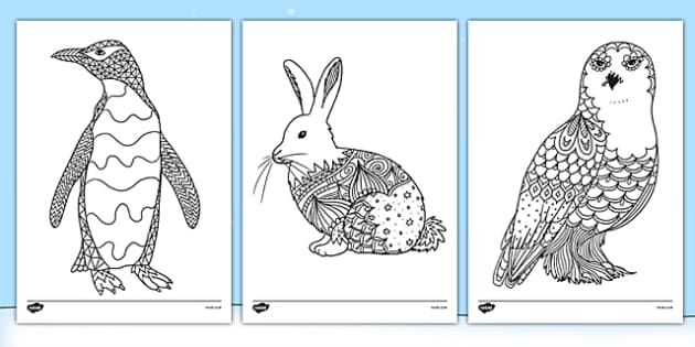 Polar Animals Mindfulness Coloring Sheets (teacher made)