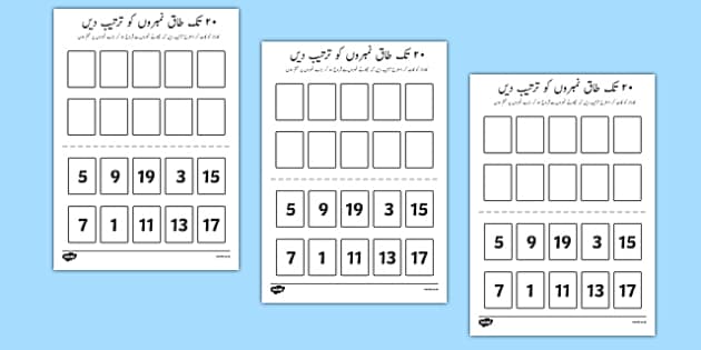 Number Ordering Odd Numbers To 20 Activity Urdu Twinkl