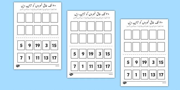 number ordering odd numbers to 20 activity urdu