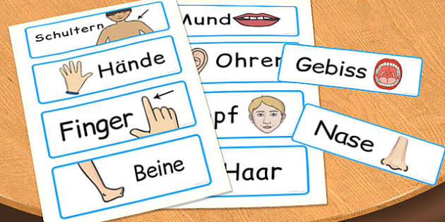 Parts of the Body Word Cards German (Hecho por educadores)