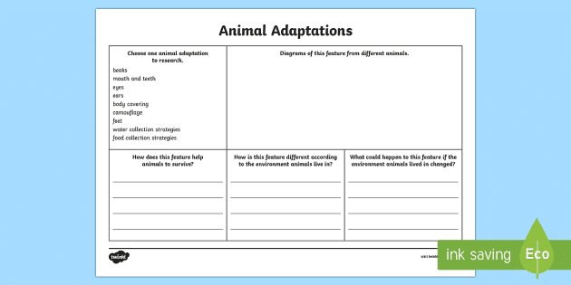 Animals That Adapted | Differentiated Lesson Pack | Twinkl