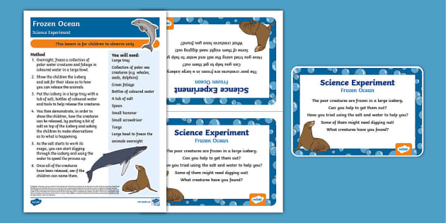 STEM: How Do Penguins Stay Dry? (teacher made) - Twinkl