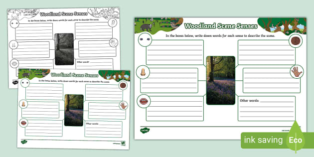 I solidi - Mind Map