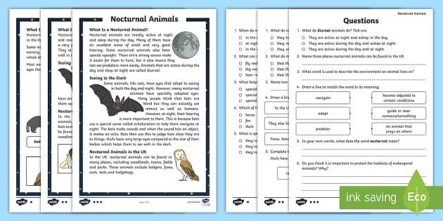Nocturnal Animals Differentiated Reading Comprehension