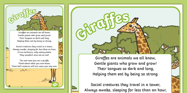 A Poem about Giraffes Display Poster (teacher made) - Twinkl