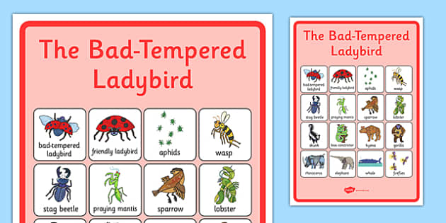 free-vocabulary-poster-to-support-teaching-on-the-bad-tempered-ladybird