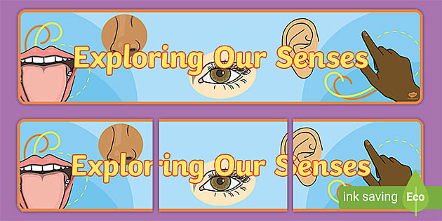 Exploring Our Senses Display Banner (teacher made) - Twinkl