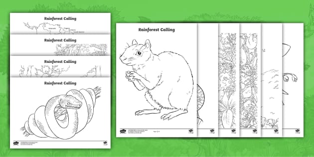 What animals live in the amazon rainforest - colouring page