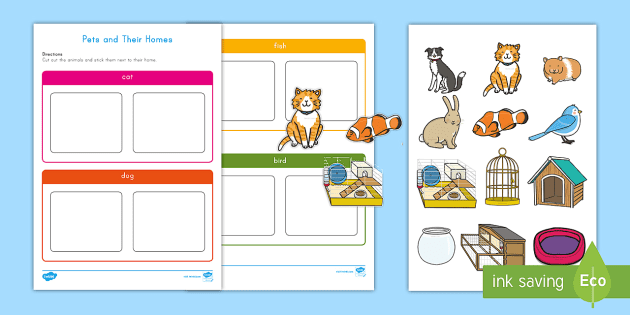 Pets and Their Homes Sorting Activity (teacher made)