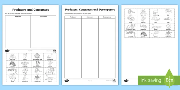 Producers, Consumers and Decomposers Sorting Worksheets