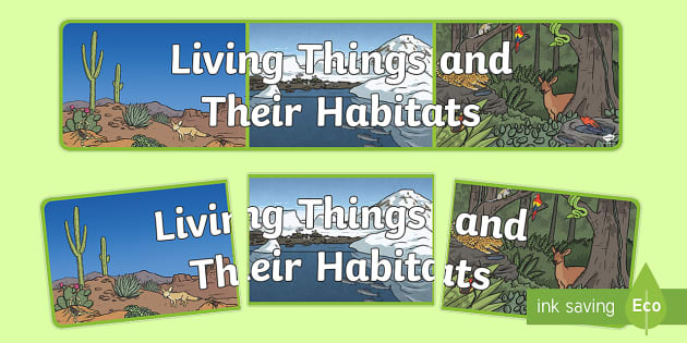 Characteristics of Living Things Display Poster - Twinkl