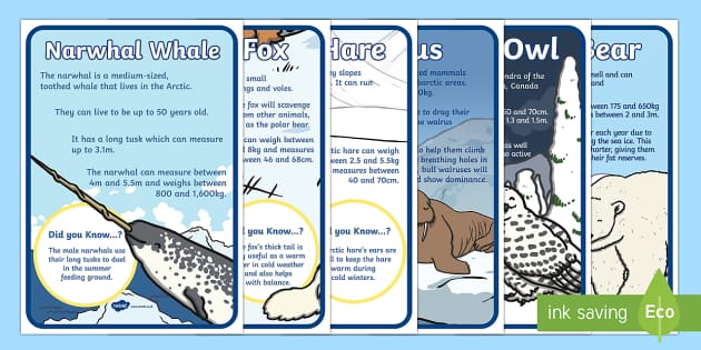 ARCTIC ANIMALS PACK - Theme Unit with Posters, Photos, Games