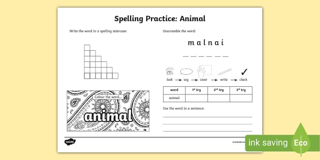 Animal Spelling Practice Worksheet (Teacher-Made) - Twinkl