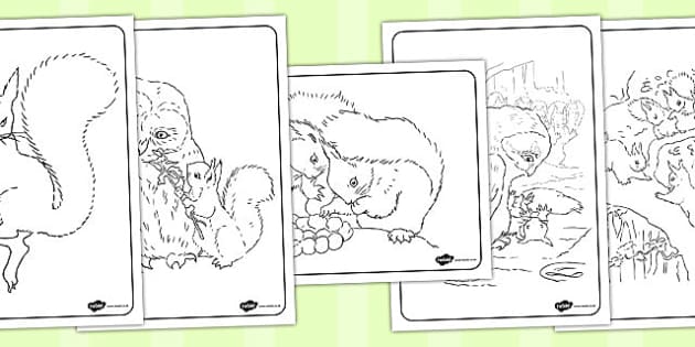 Beatrix Potter - The Tale of Tom Kitten Colouring Sheets