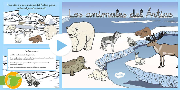Imágenes de exposición: Animales polares (teacher made)