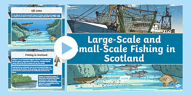 Large-Scale vs Small-Scale Fishing PowerPoint (teacher made)