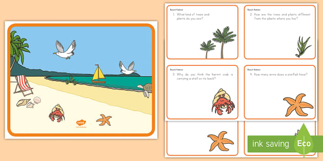 Beach Habitat Scene and Question Cards