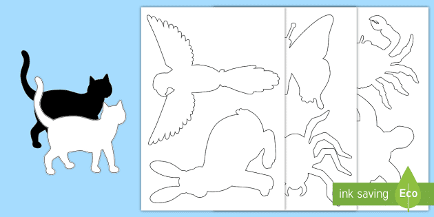 Outline Drawing of Animals | Animal Colouring Pages - Twinkl