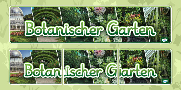 Botanischer Garten Fotobanner (teacher made) Twinkl